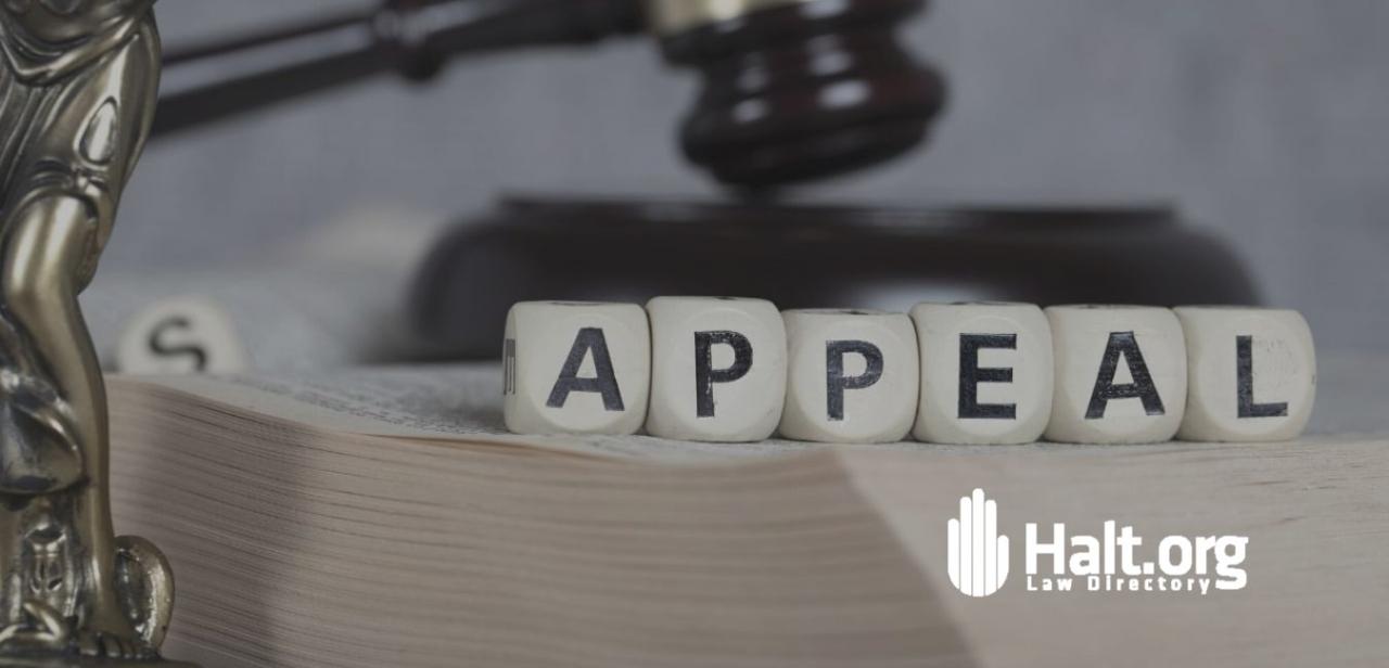 How To Appeal A Court Decision Effectively