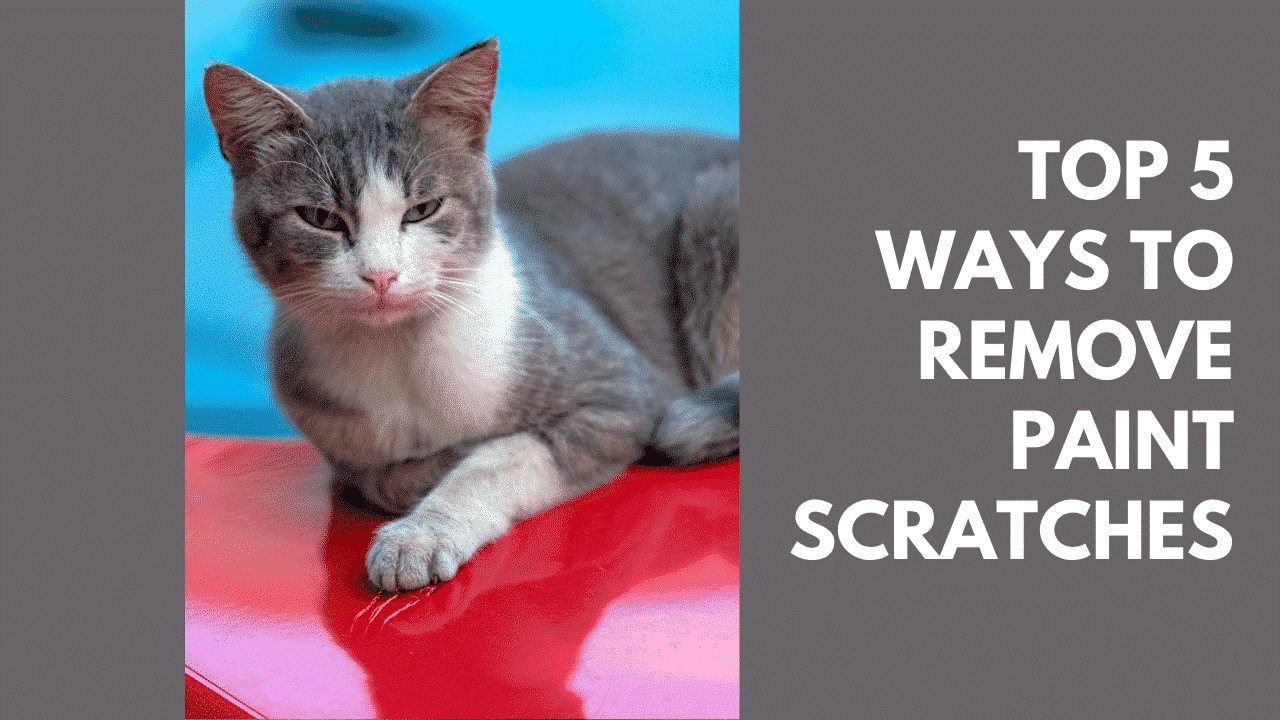 » Top 5 Ways To Remove Car Paint Scratches Best Methods For Removing Scratches From Car Paint