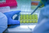 Common Vaccine Myths Debunked: Facts You Should Know What Are The Common Misconceptions About Vaccine Safety